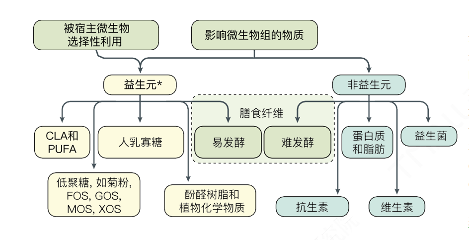 益生元2