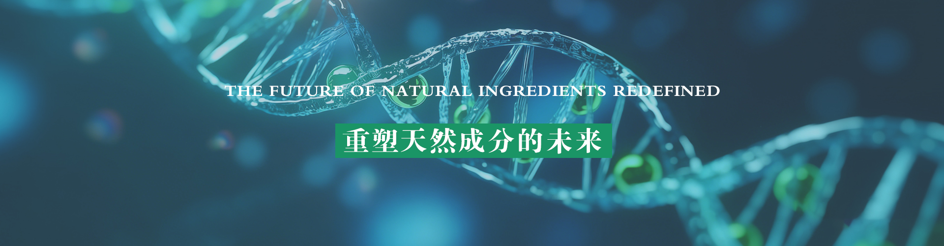 1.0background-size cover